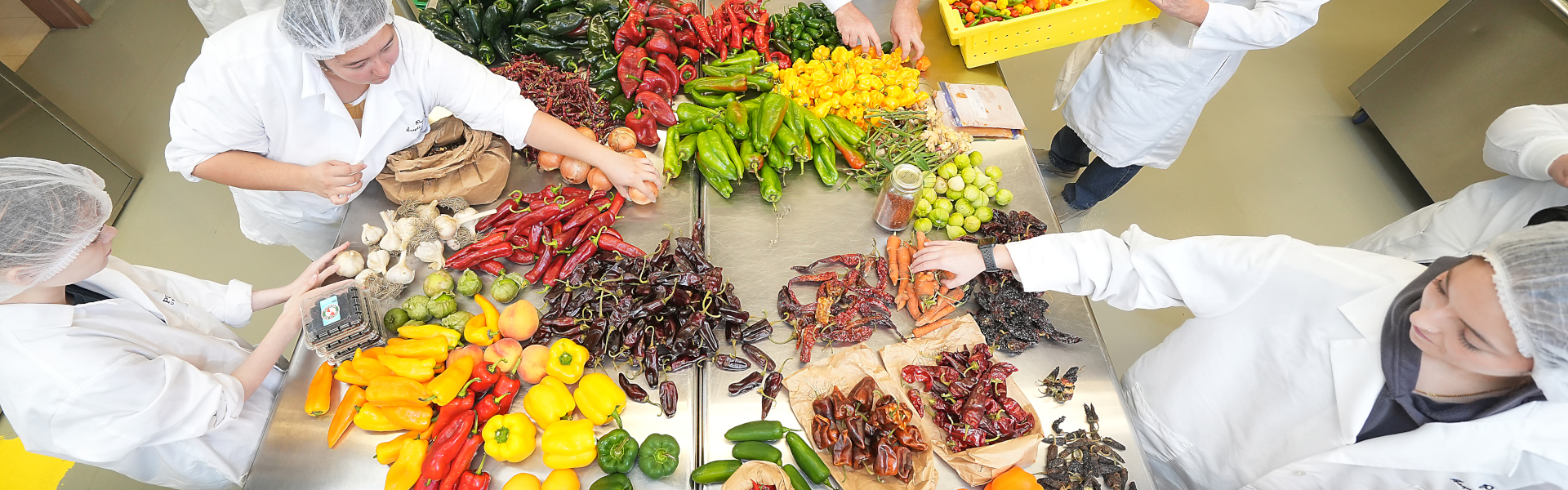 food workers sorting vegetables