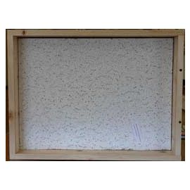 4-H-763 "base Image"