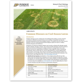 Common Diseases on Cool-Season Lawns