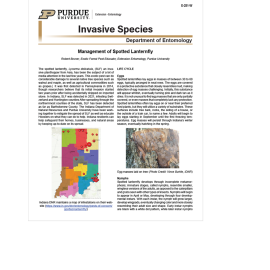 Invasive Species page one image