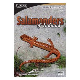 Salamanders of Indiana Book