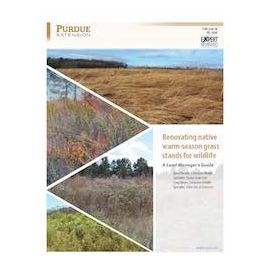 Renovating native warm-season grass stands for wildlife: A Land Manager's Guide