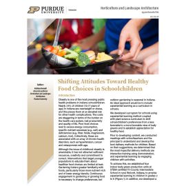 Image of page one of HO-345-W