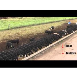 Nutritional Biotechnologies: Ionophores