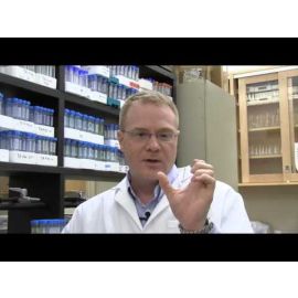 Nutritional Biotechnologies: Phytase