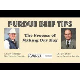 The Process of Making Dry Hay