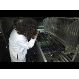 Egg Sanitation: Packer - Lower Portion