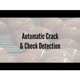 Egg Sanitation: Egg Quality Detection Systems