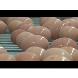 Egg Sanitation: Egg Carriage Systems