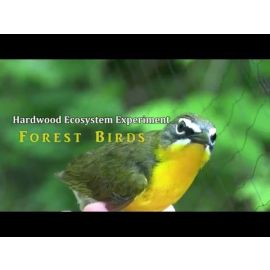 FNR-518-WV Small Image