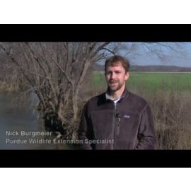 FNR-526-WV Small Image