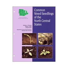 Common Weed Seedlings of the North Central States