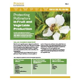 Protecting Pollinators: Protecting Pollinators in Fruit and Vegetable Production