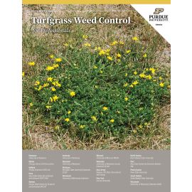 Image of cover for TURF-100 pub.