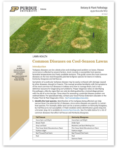 Common Diseases on Cool-Season Lawns