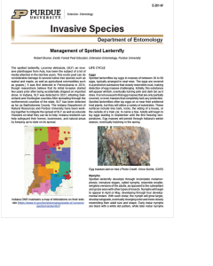 Invasive Species page one image