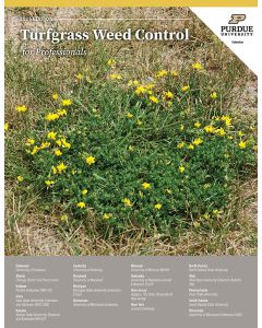 Image of cover for TURF-100 pub.