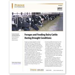 Forages and Feeding Dairy Cattle During Drought Conditions
