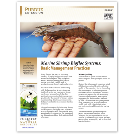 Photo inspiration: Curated Biofloc Management Practices Gallery View 19
