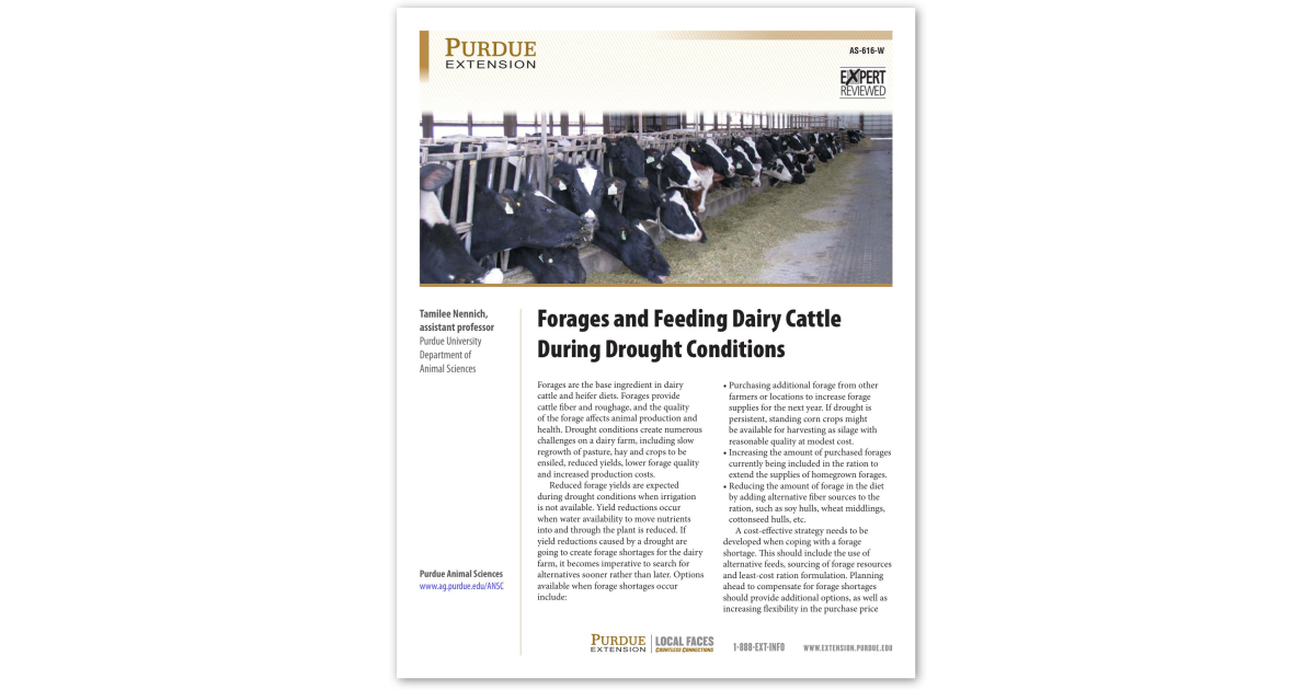Forages and Feeding Dairy Cattle During Drought Conditions