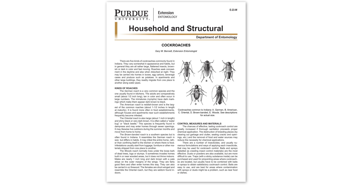 Cockroach Pdf Cockroaches