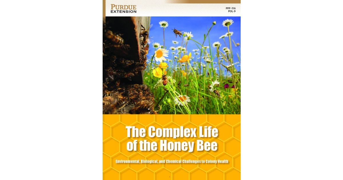 The Complex Life of the Honey Bee: Environmental, Biological, and ...