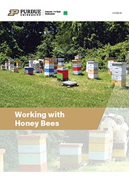 Working with Honey Bees.