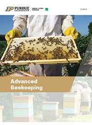 Advanced Beekeeping.