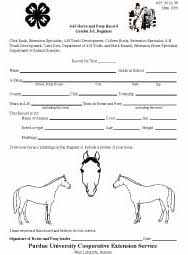 4-H Horse and Pony Record Beginner