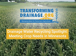Drainage Water Recycling Spotlight: Meeting Crop Needs in Minnesota
