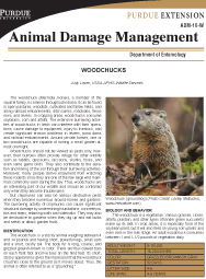 Animal Damage Management: Woodchucks