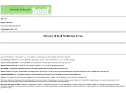 Glossary of Beef Production