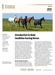 Introduction to Body Scoring of Horses