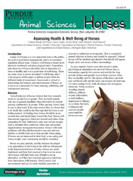 Assessing Health & Well-Being of Horses