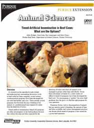Timed-Artificial Insemination in Beef Cows: What are the Options?