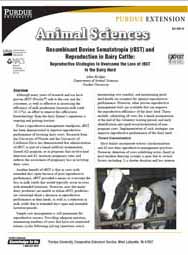 Recombinant Bovine Somatotropin (rBST) and Reproduction in Dairy Cattle: Reproductive Strategies to Overcome the Loss of rBST in the Dairy Herd