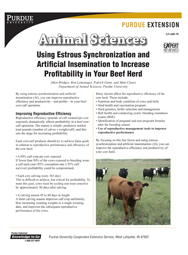 Using Estrous Synchronization and Artificial Insemination to Increase Profitability in Your Beef Herd
