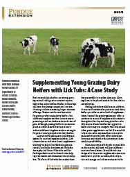 Supplementing Young Grazing Dairy Heifers with Lick Tubs: A Case Study