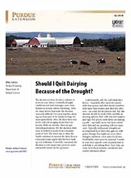 Should I Quit Dairying Because of the Drought?