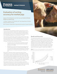 Evaluation of sorting accuracy for market pigs: sorting errors