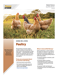 Animal Well Being:  Poultry