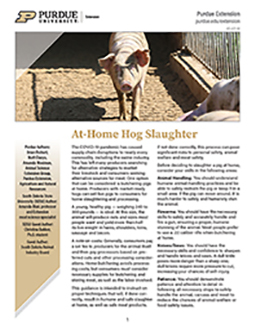 At-Home Hog Slaughter