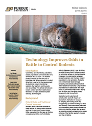 Technology Improves Odds In Battle To Control Rodents