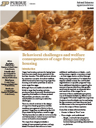 Behavioral challenges and welfare consequences of cage-free poultry housing