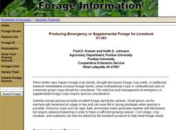 Producing Emergency or Supplemental Forage for Livestock