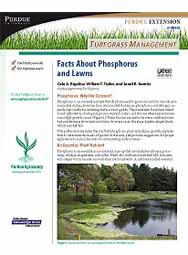 Turfgrass Management: Facts About Phosphorus and Lawns