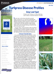 Turfgrass Disease Profiles: Gray Leaf Spot