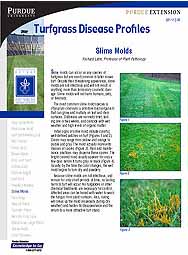 Turfgrass Disease Profiles: Slime Molds
