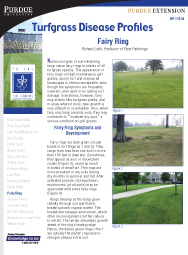 Turfgrass Disease Profiles: Fairy Ring