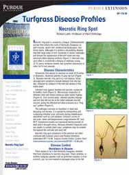 Turfgrass Disease Profiles: Necrotic Ring Spot